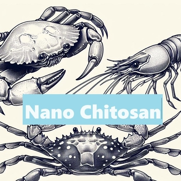 Nano Chitosan image _1_ _2_.jpg